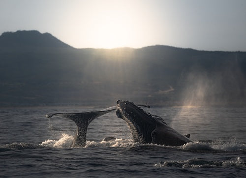 Gigantes del Atardecer
