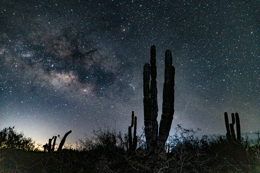 Estrellas en balandra