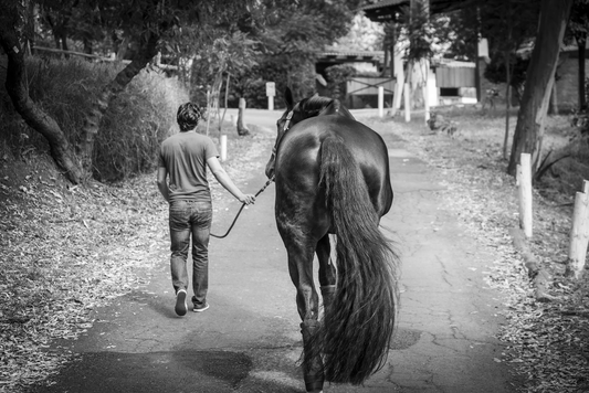 Confio - Fotoplaneta