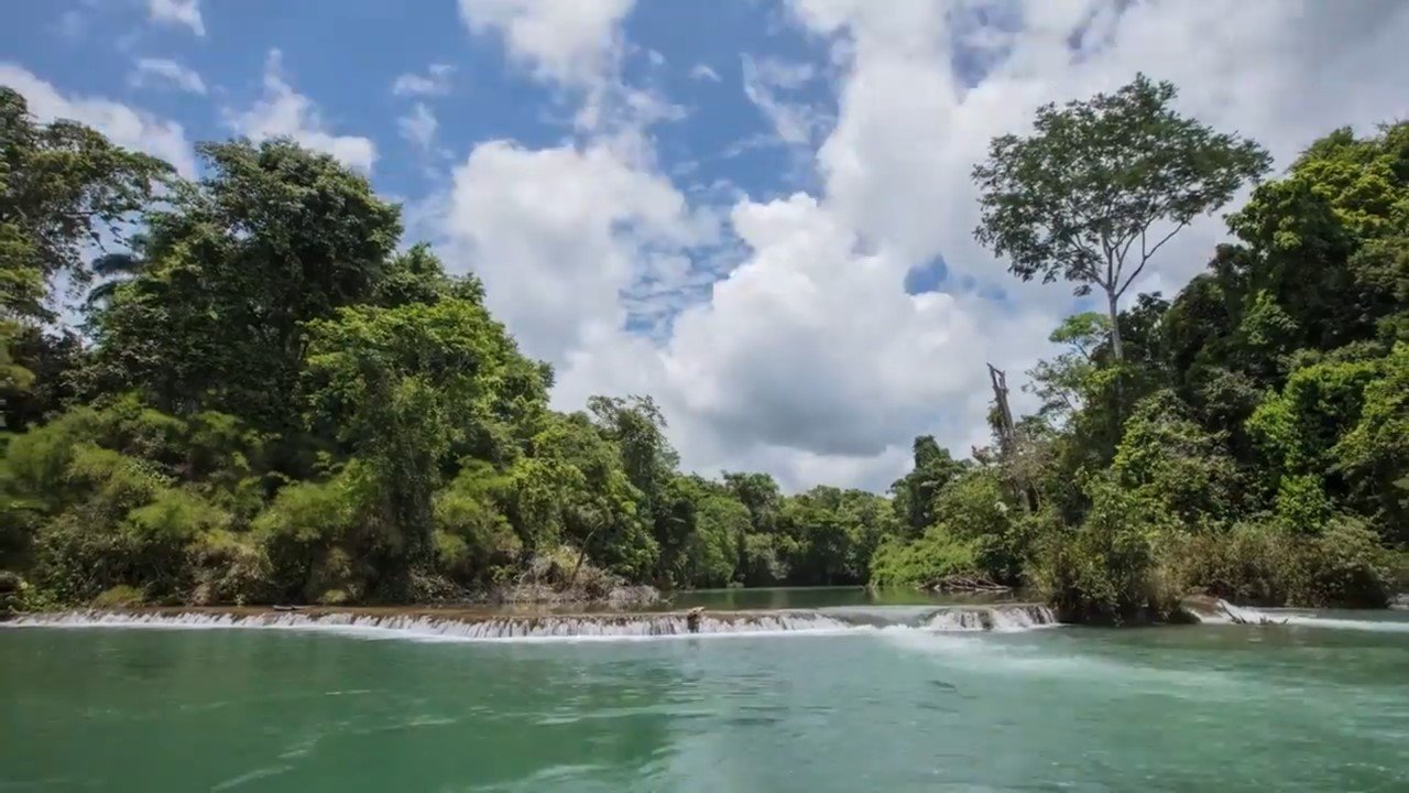 LA SELVA LACANDONA, EL MAYOR REMANENTE DE SELVA TROPICAL HÚMEDA EN MÉXICO - Fotoplaneta