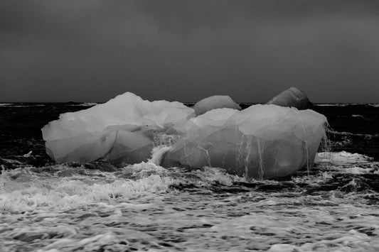 Semana del Cambio Climático - Fotoplaneta