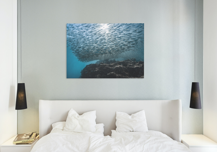 Sardinas