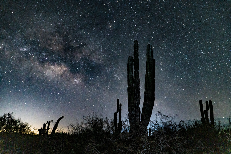 Estrellas en balandra