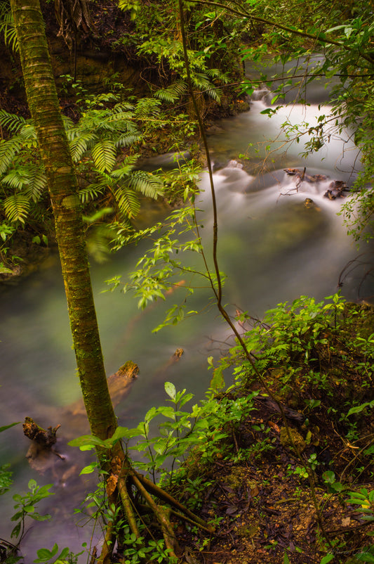 Rio Lacanja - Fotoplaneta