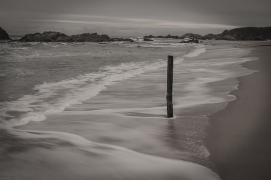 El tronco y las olas - Fotoplaneta