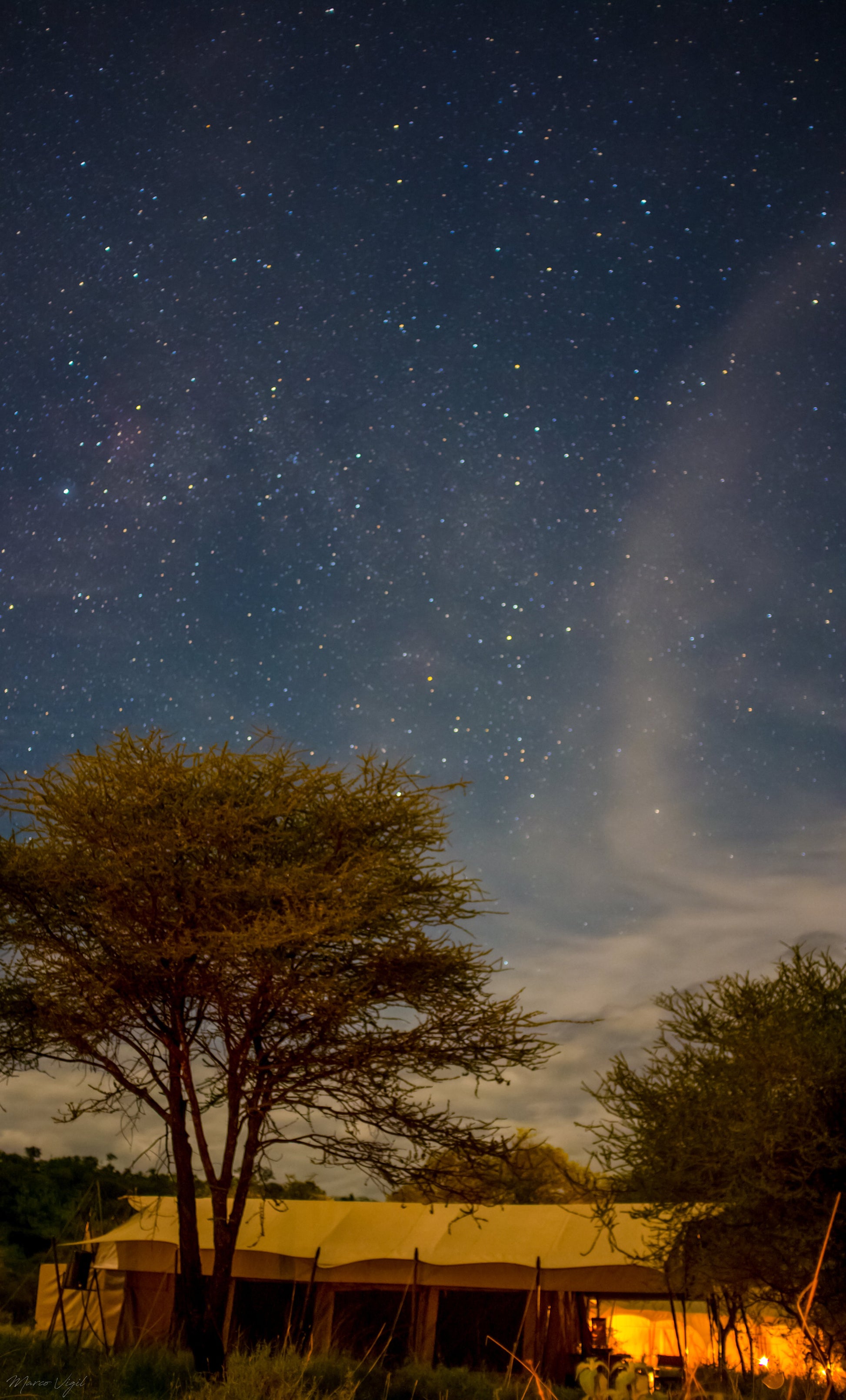 La noche en Tanzania - Fotoplaneta