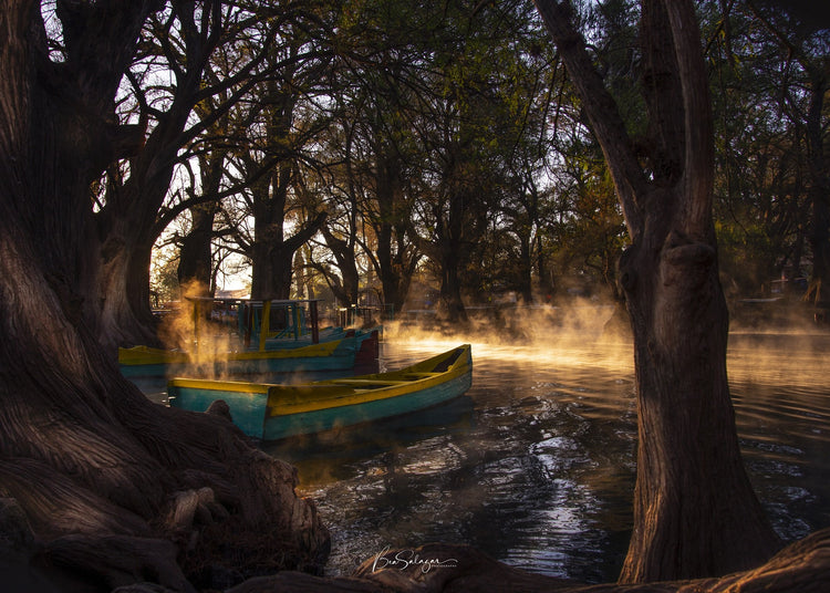 Camécuaro - Fotoplaneta