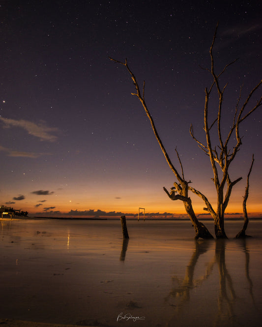 Noche Estrellada - Fotoplaneta