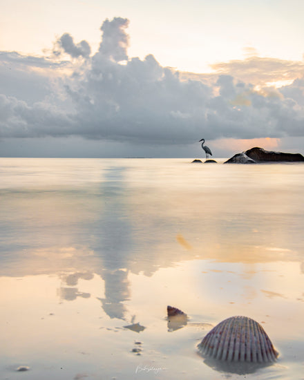 Blancos de la Playa - Fotoplaneta