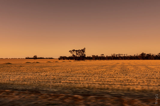 Atardecer en movimiento - Fotoplaneta