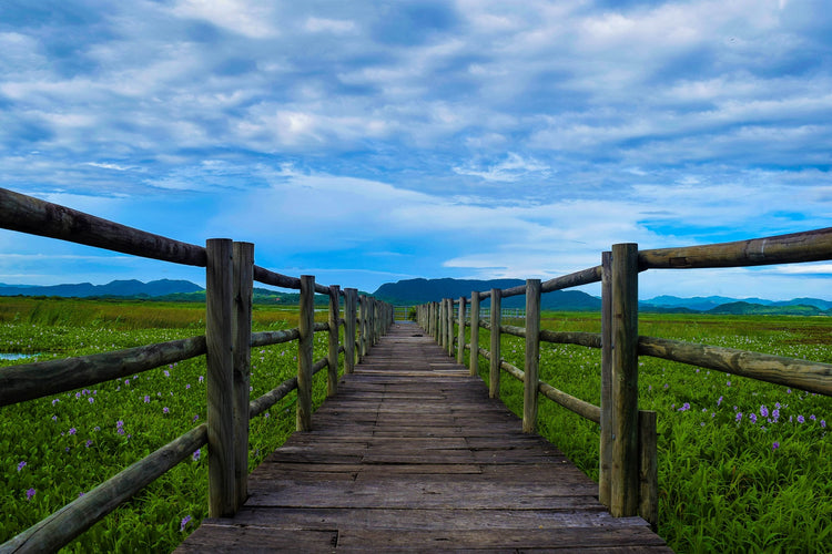 Entre Estero y Puente Costa Rica