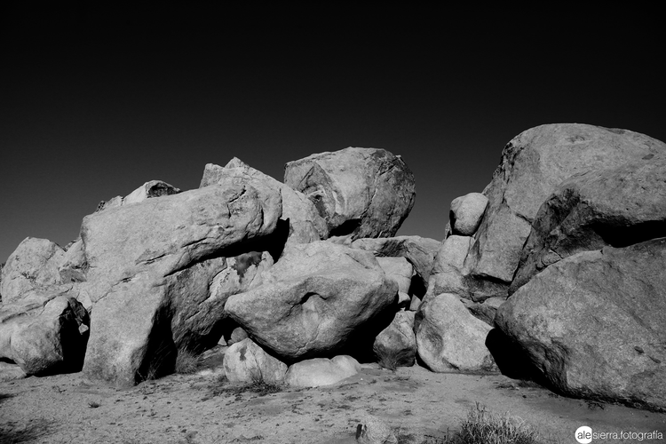 Joshua Tree - Fotoplaneta