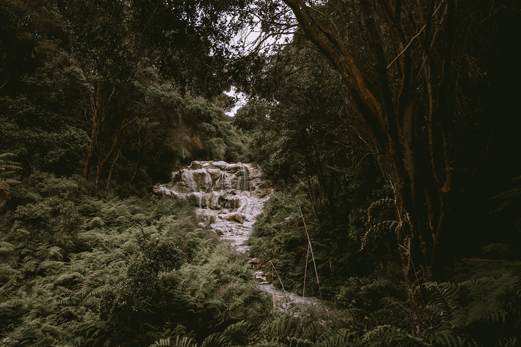 Kakahi Falls - Fotoplaneta